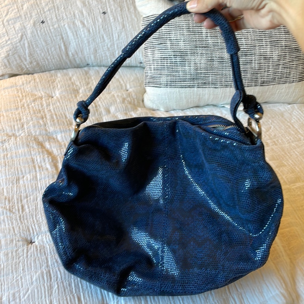 Banana Republic Blue Snakeskin Purse